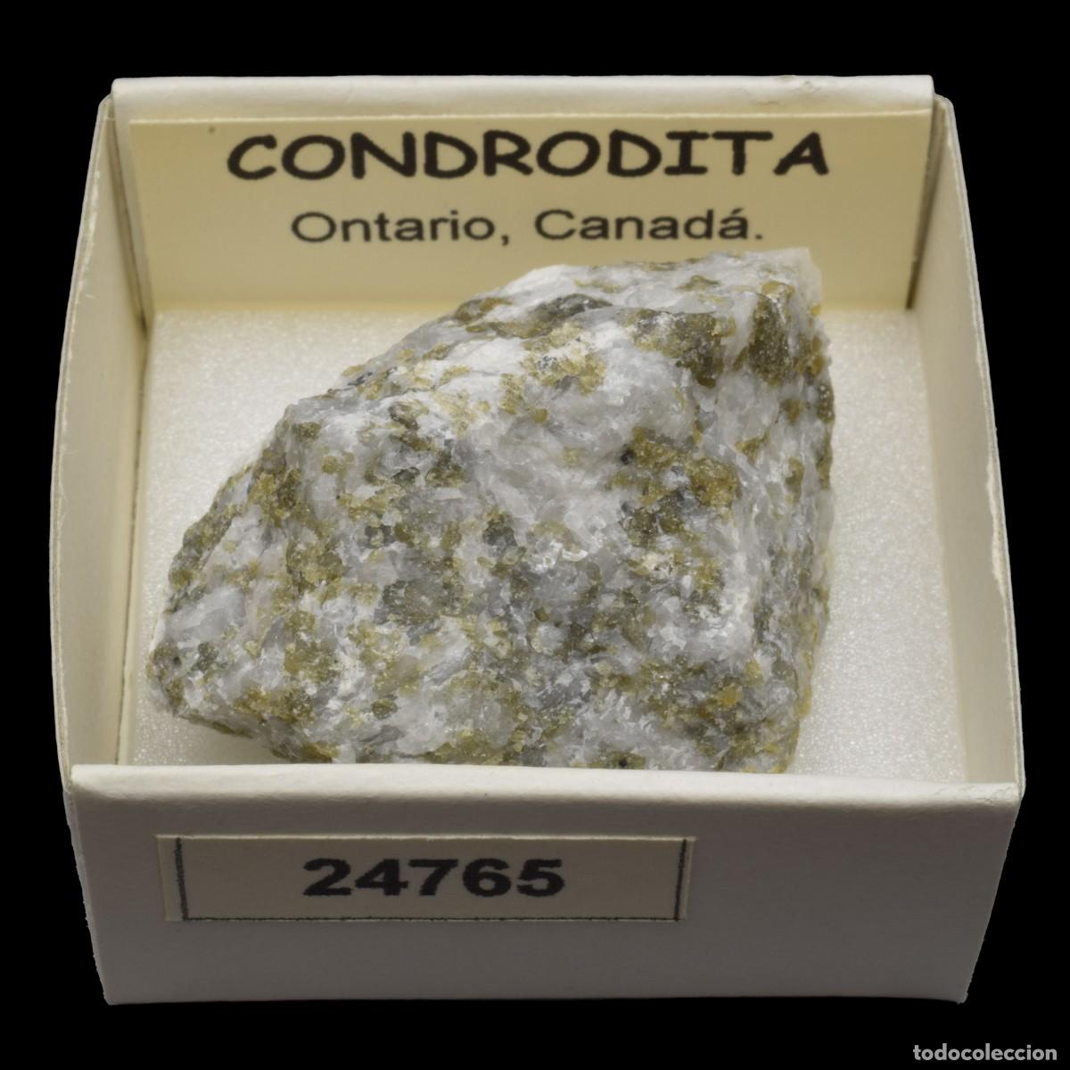 Coleccionismo de minerales: CONDRODITA (Ontario, Canada) #24765