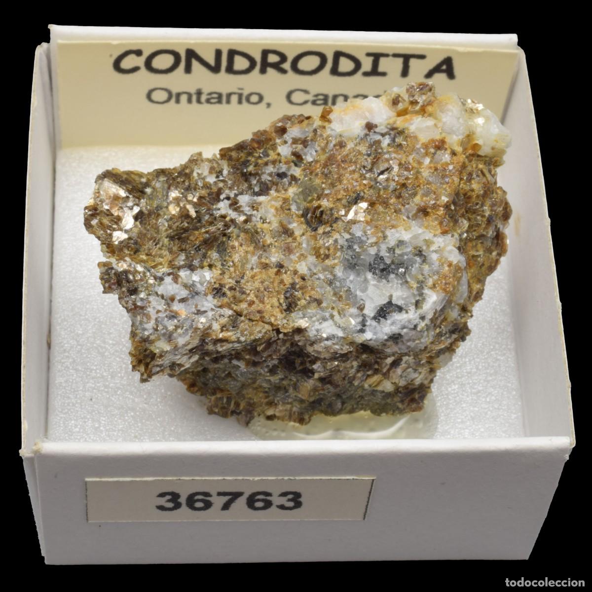 Collectionnisme de min&eacute;raux: CONDRODITA (Ontario, Canada) #36763