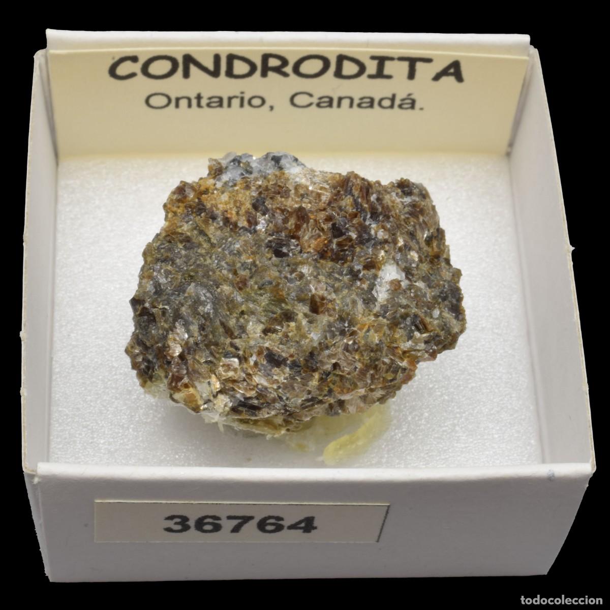Coleccionismo de minerales: CONDRODITA (Ontario, Canada) #36764 - Foto 1