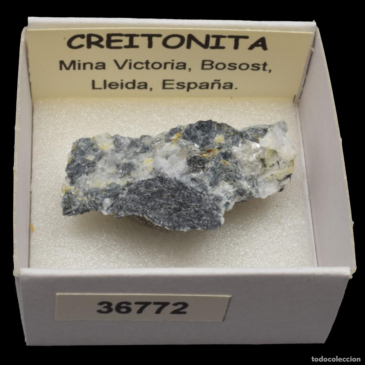 Collezionismo di minerali: CREITONITA (Mina Victoria, Bossost, Lleida, Espa&ntilde;a) #36772