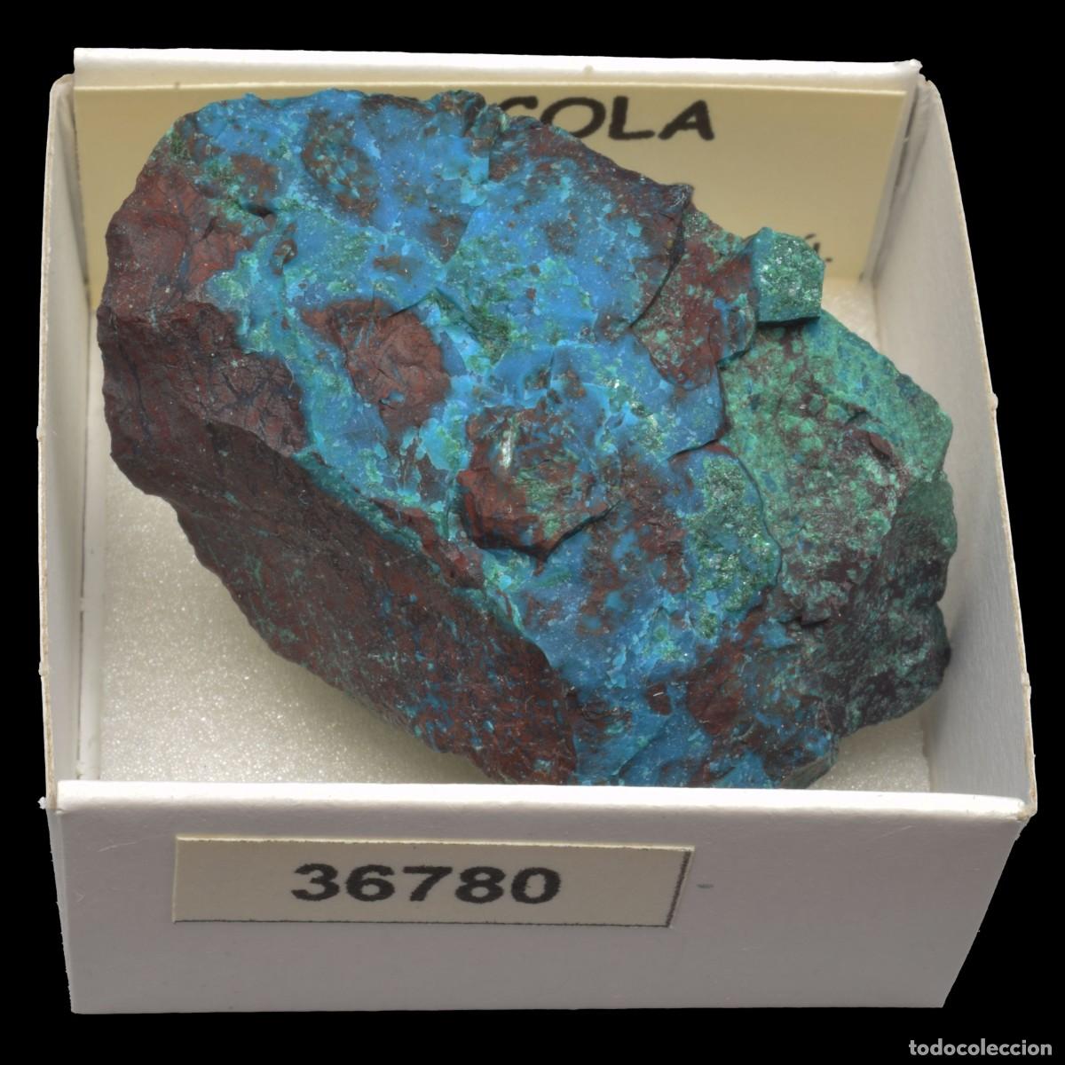 Sammlung von Mineralien: CRISOCOLA y malaquita (Pisco prov., Ica, Peru) #36780