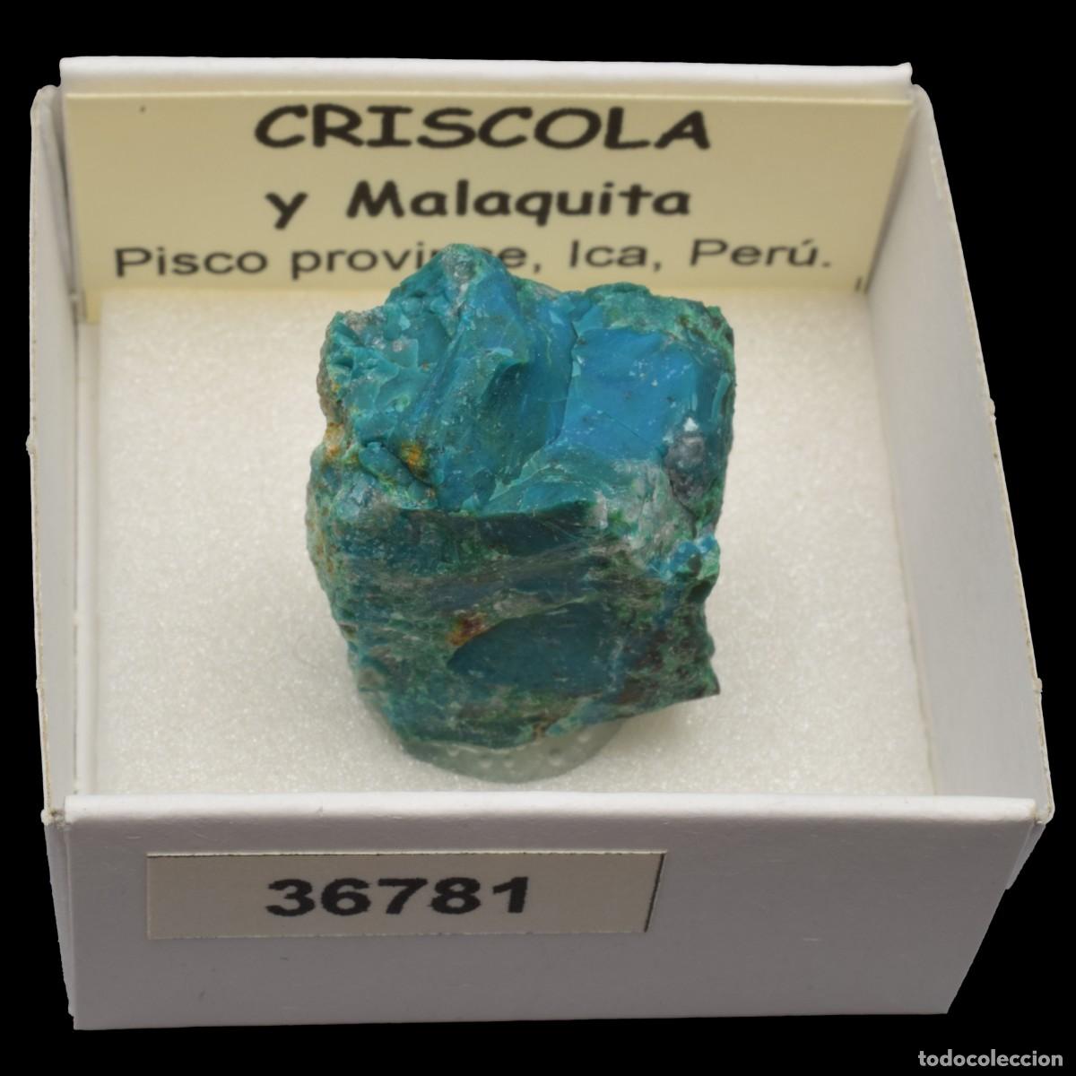 Sammlung von Mineralien: CRISOCOLA y malaquita (Pisco prov., Ica, Peru) #36781