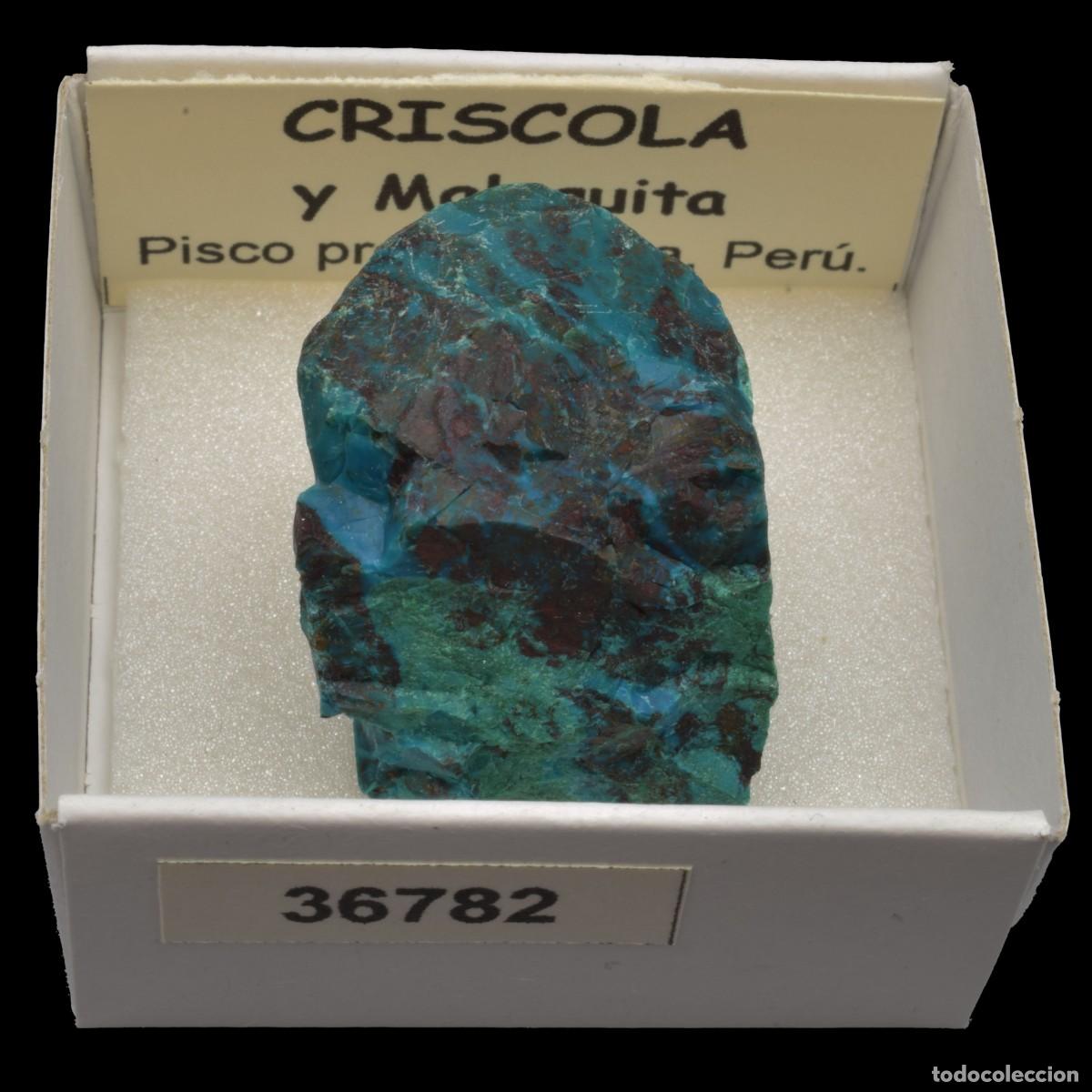 Sammlung von Mineralien: CRISOCOLA y malaquita (Pisco prov., Ica, Peru) #36782