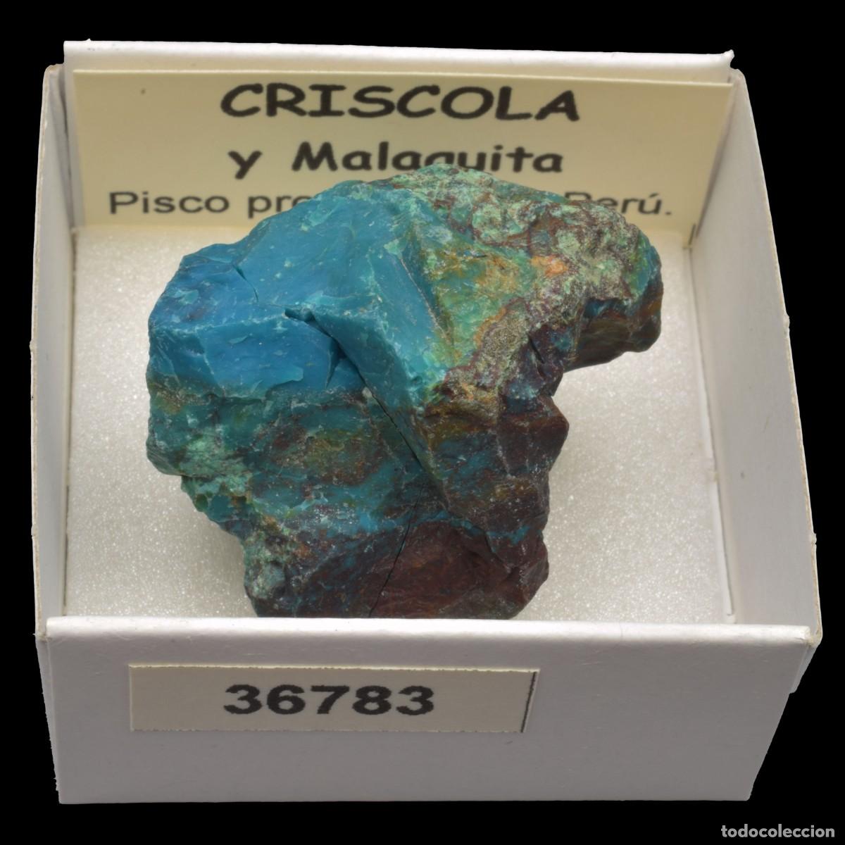 Coleccionismo de minerales: CRISOCOLA y malaquita (Pisco prov., Ica, Peru) #36783