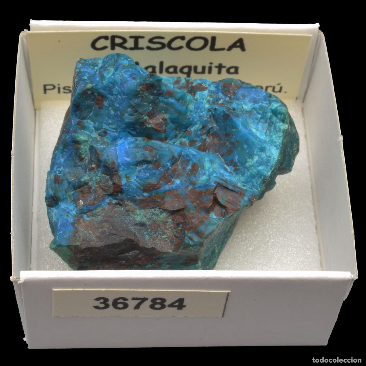 Coleccionismo de minerales: CRISOCOLA y malaquita (Pisco prov., Ica, Peru) #36784
