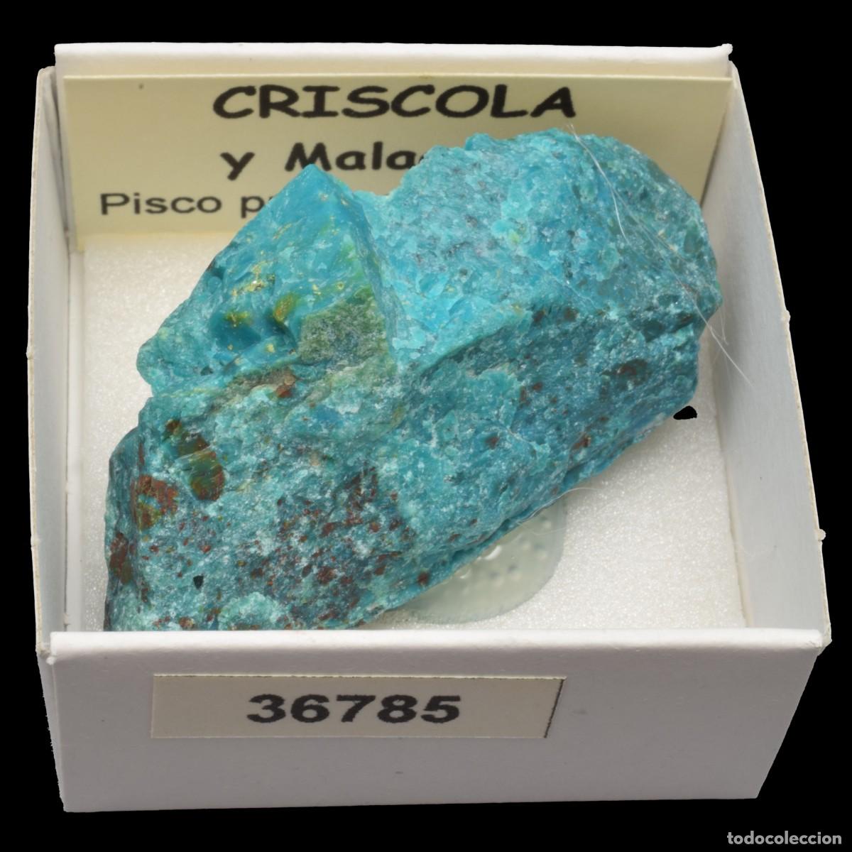 Coleccionismo de minerales: CRISOCOLA y malaquita (Pisco prov., Ica, Peru) #36785