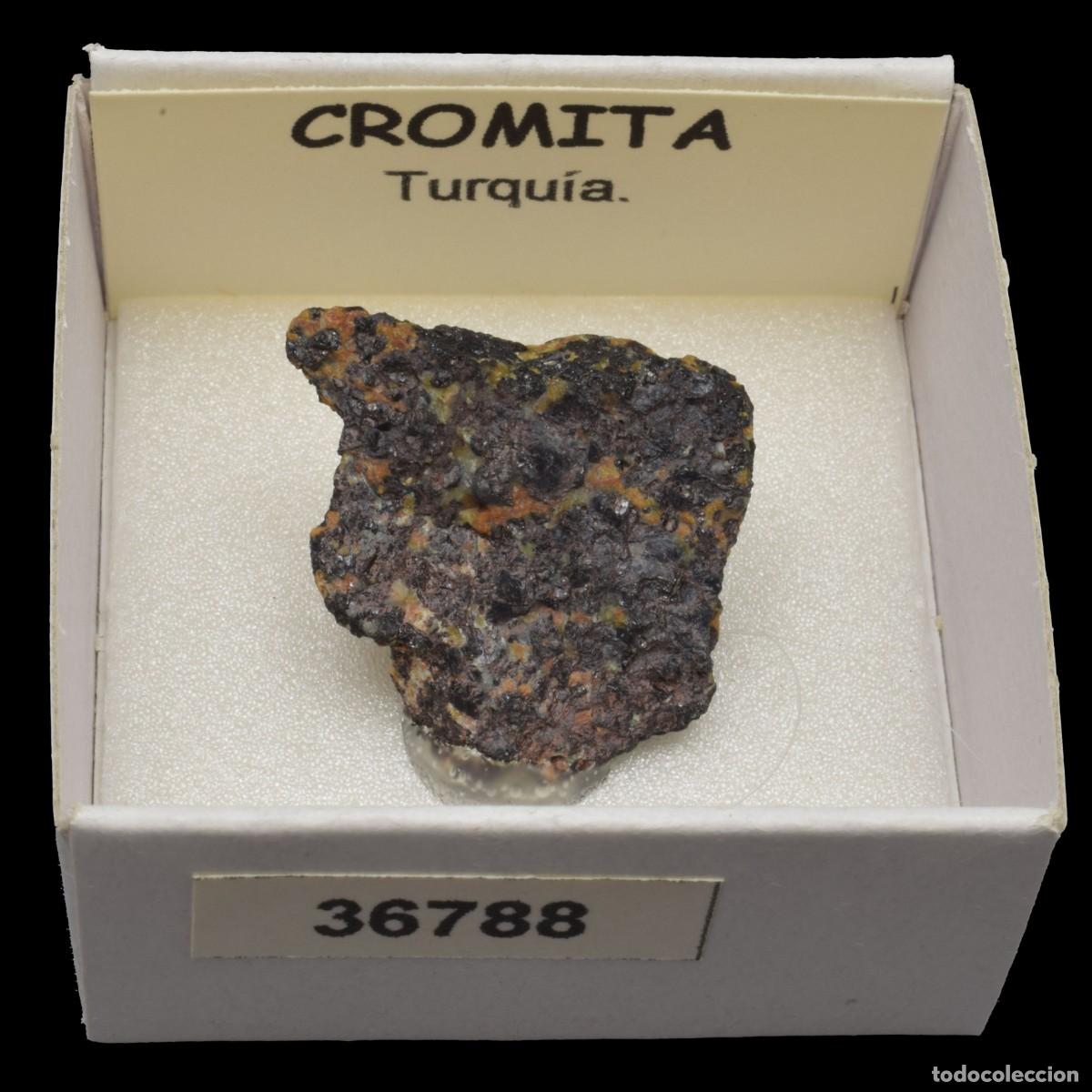Coleccionismo de minerales: CROMITA (Turquia) #36788