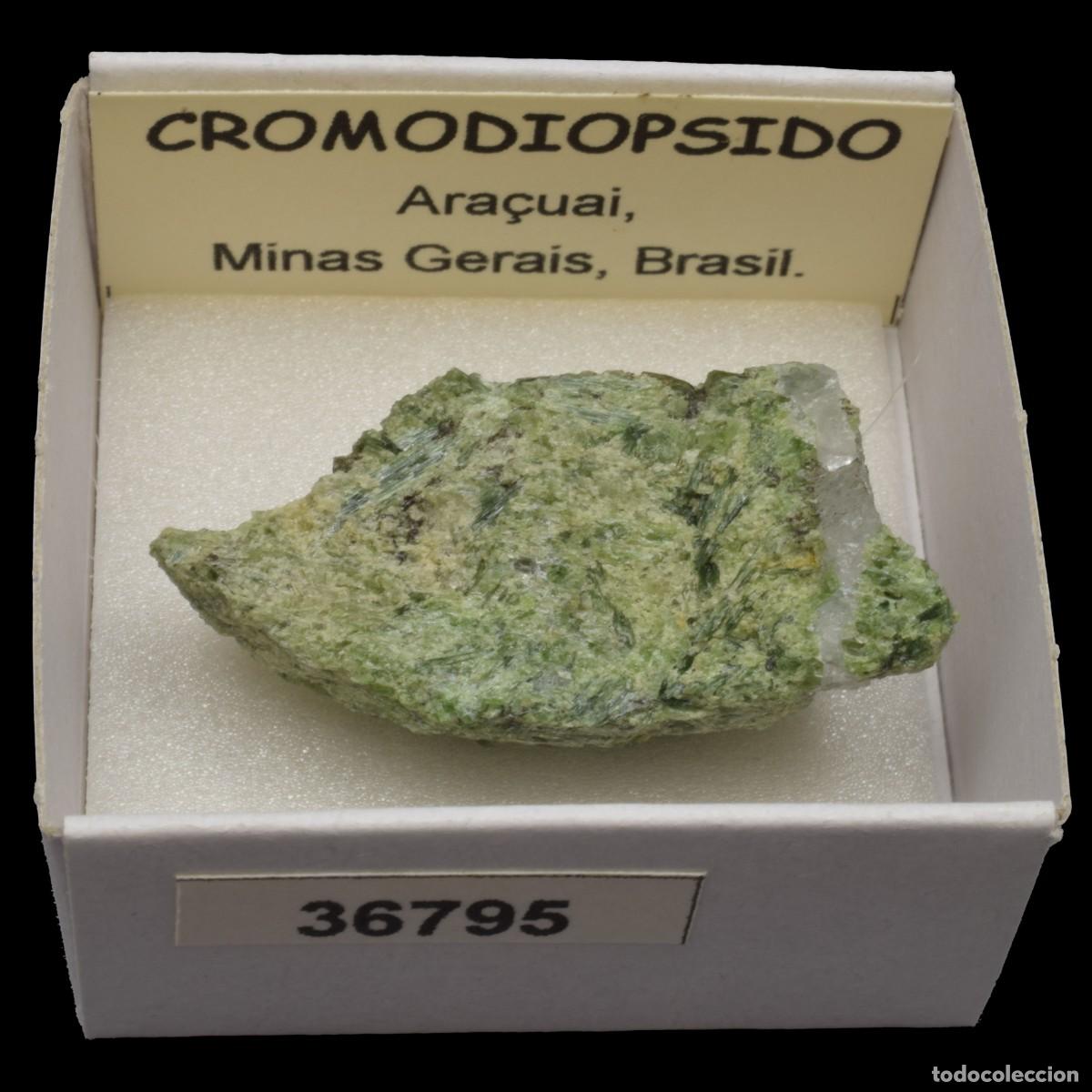 Coleccionismo de minerales: CROMODIOPSIDO (Ara&ccedil;uai, Minas Gerais, Brasil) #36795