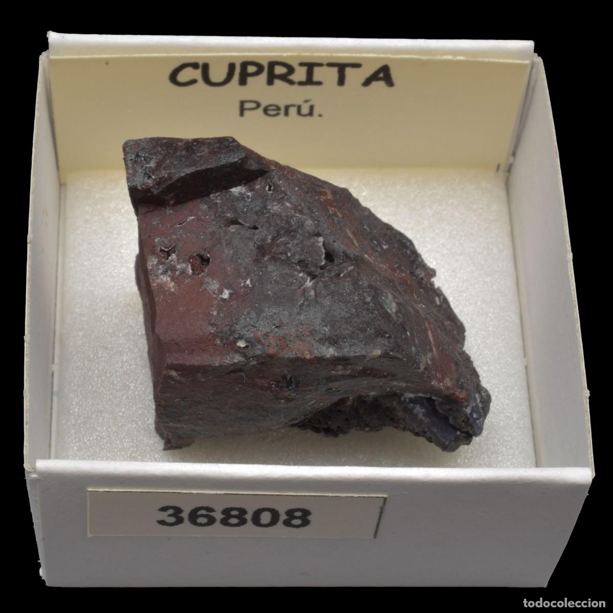 Coleccionismo de minerales: CUPRITA (Peru) #36808