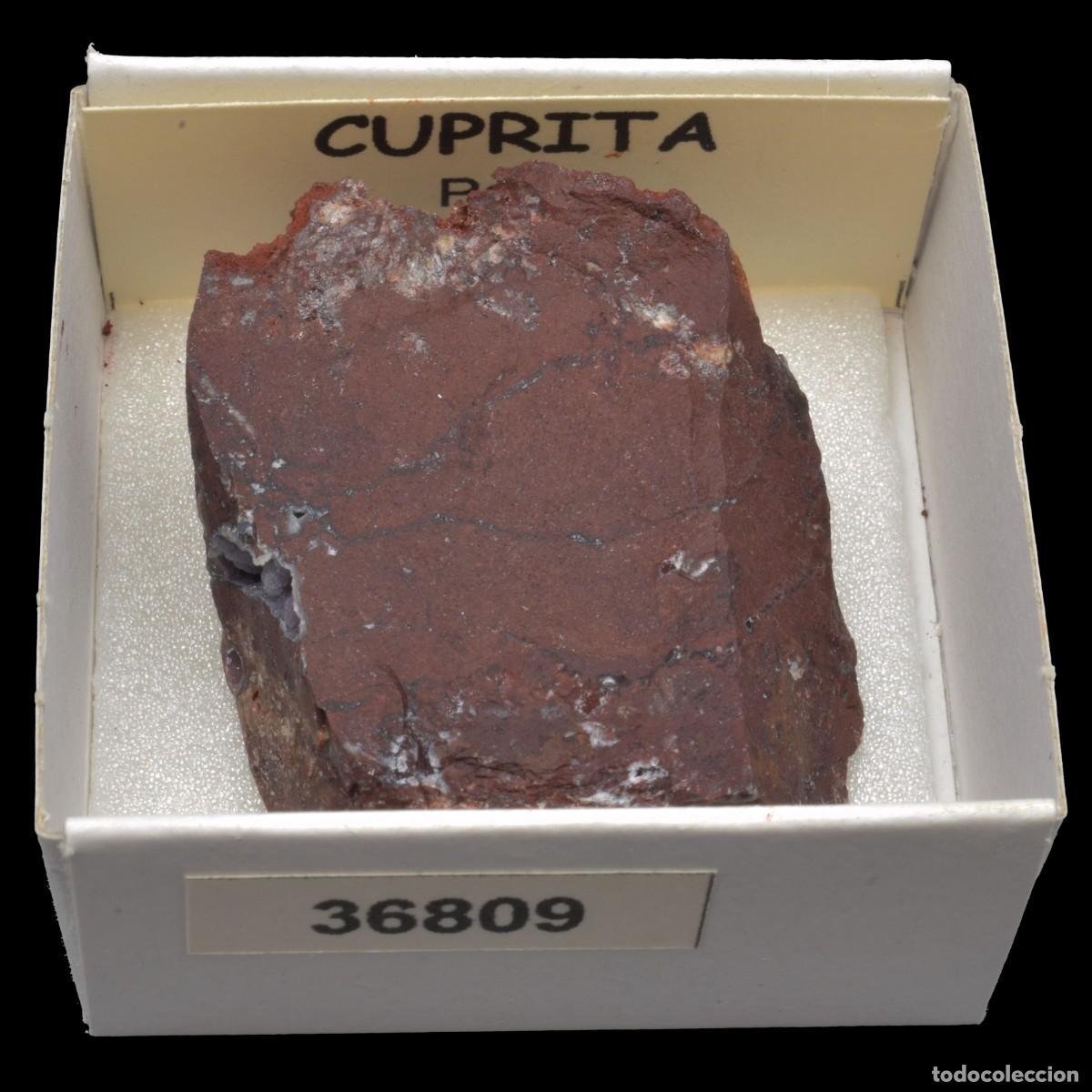 Coleccionismo de minerales: CUPRITA (Peru) #36809 - Foto 1