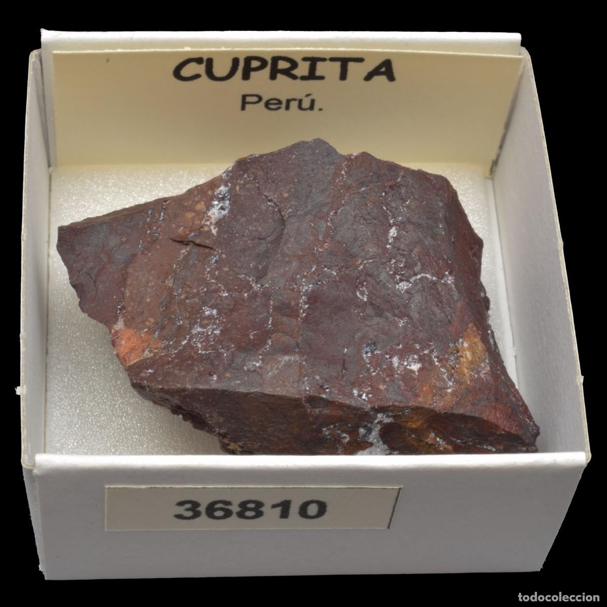 Coleccionismo de minerales: CUPRITA (Peru) #36810 - Foto 1