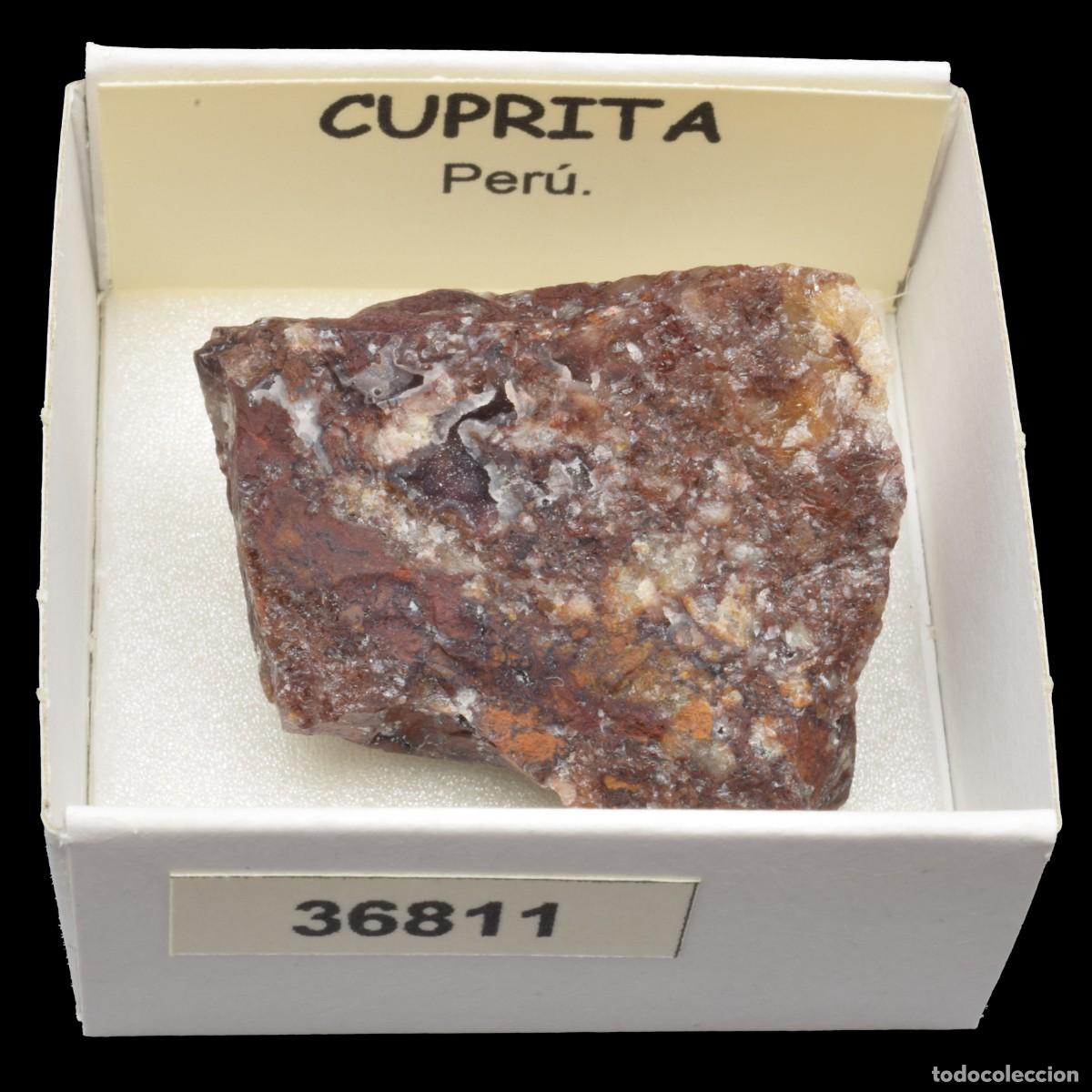 Coleccionismo de minerales: CUPRITA (Peru) #36811