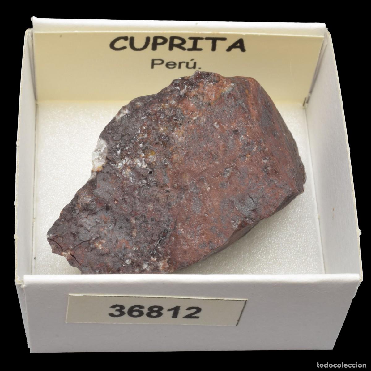 Coleccionismo de minerales: CUPRITA (Peru) #36812