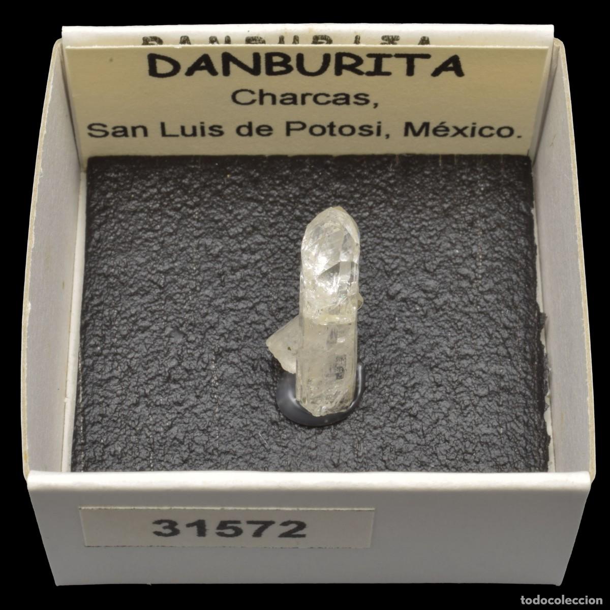 Coleccionismo de minerales: DANBURITA (Charcas, San Luis de Potosi, Mexico) #31572