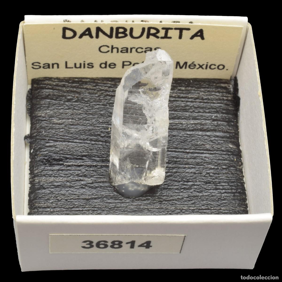 Coleccionismo de minerales: DANBURITA (Charcas, San Luis de Potosi, Mexico) #36814