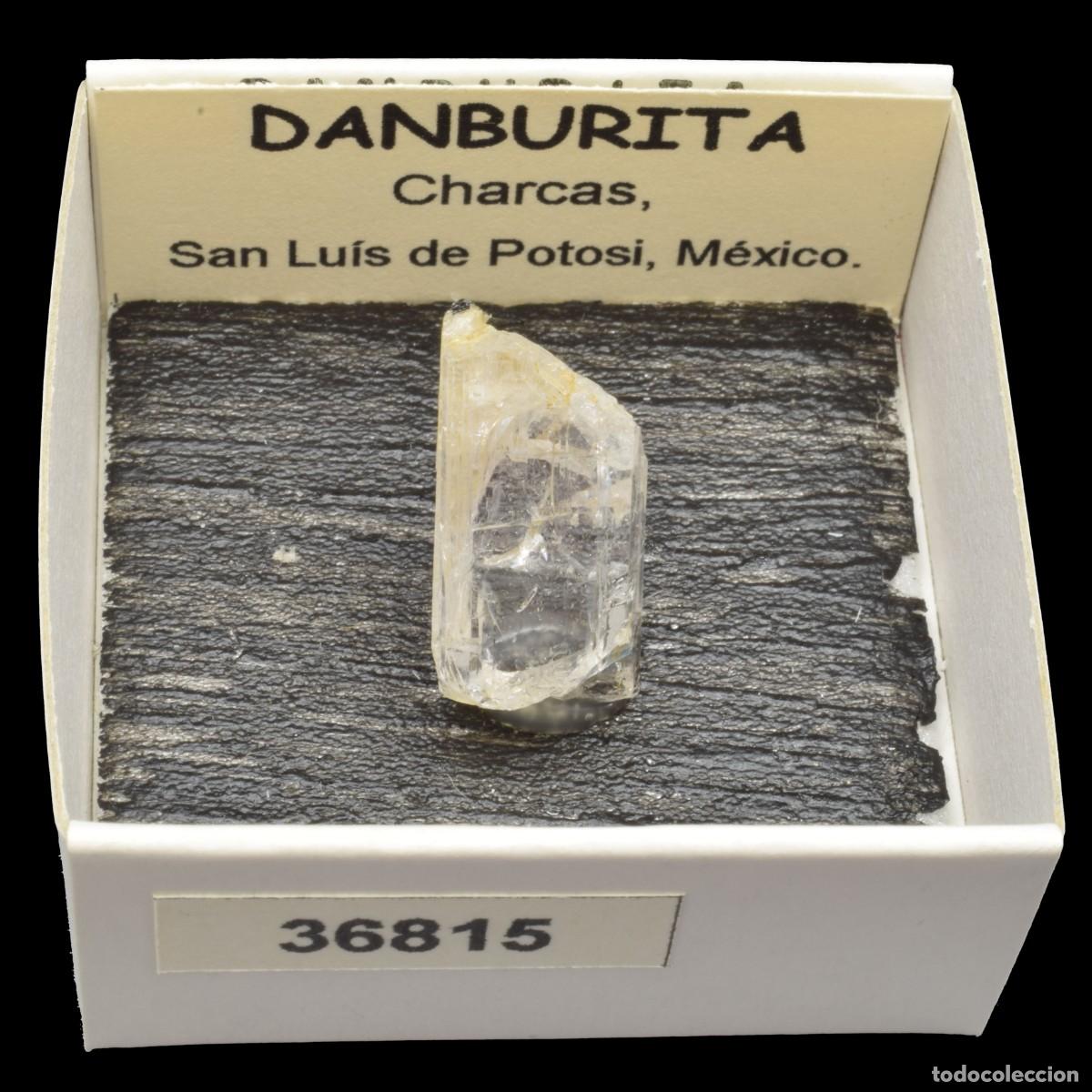 Coleccionismo de minerales: DANBURITA (Charcas, San Luis de Potosi, Mexico) #36815
