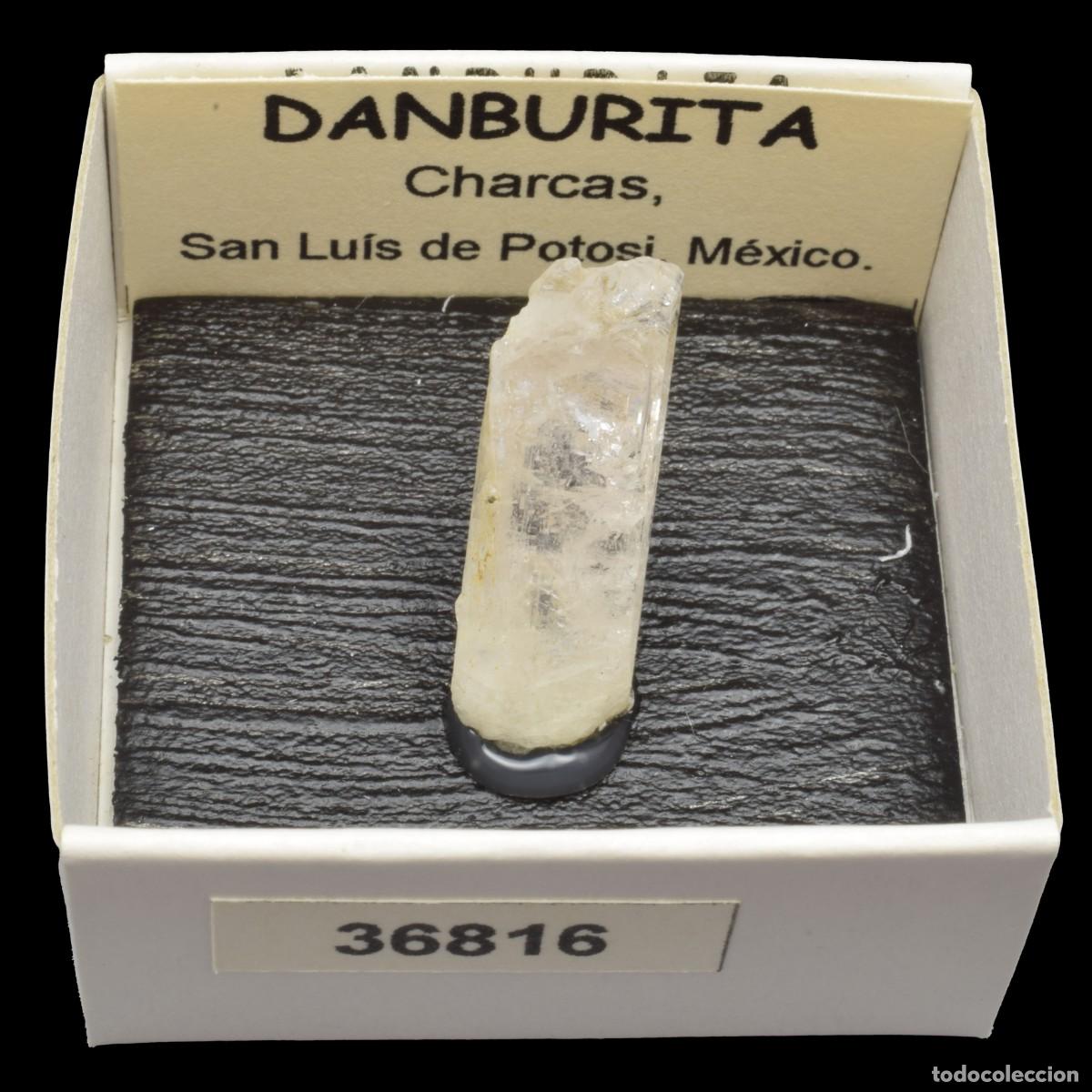 Coleccionismo de minerales: DANBURITA (Charcas, San Luis de Potosi, Mexico) #36816