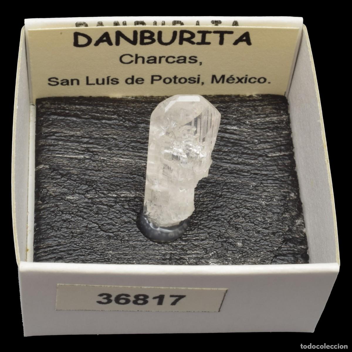Coleccionismo de minerales: DANBURITA (Charcas, San Luis de Potosi, Mexico) #36817
