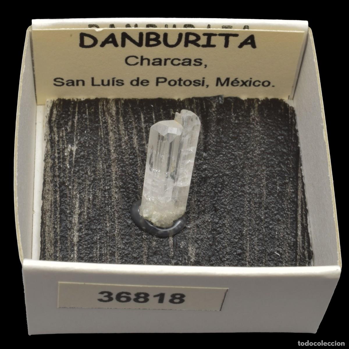 Coleccionismo de minerales: DANBURITA (Charcas, San Luis de Potosi, Mexico) #36818