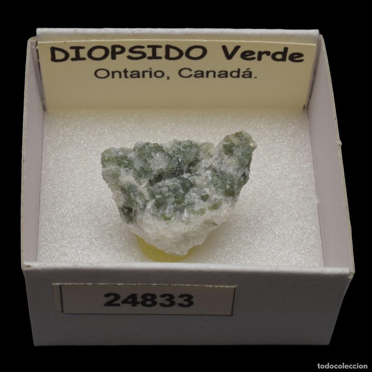 Coleccionismo de minerales: DIOPSIDO Verde (Ontario Canada) #24833