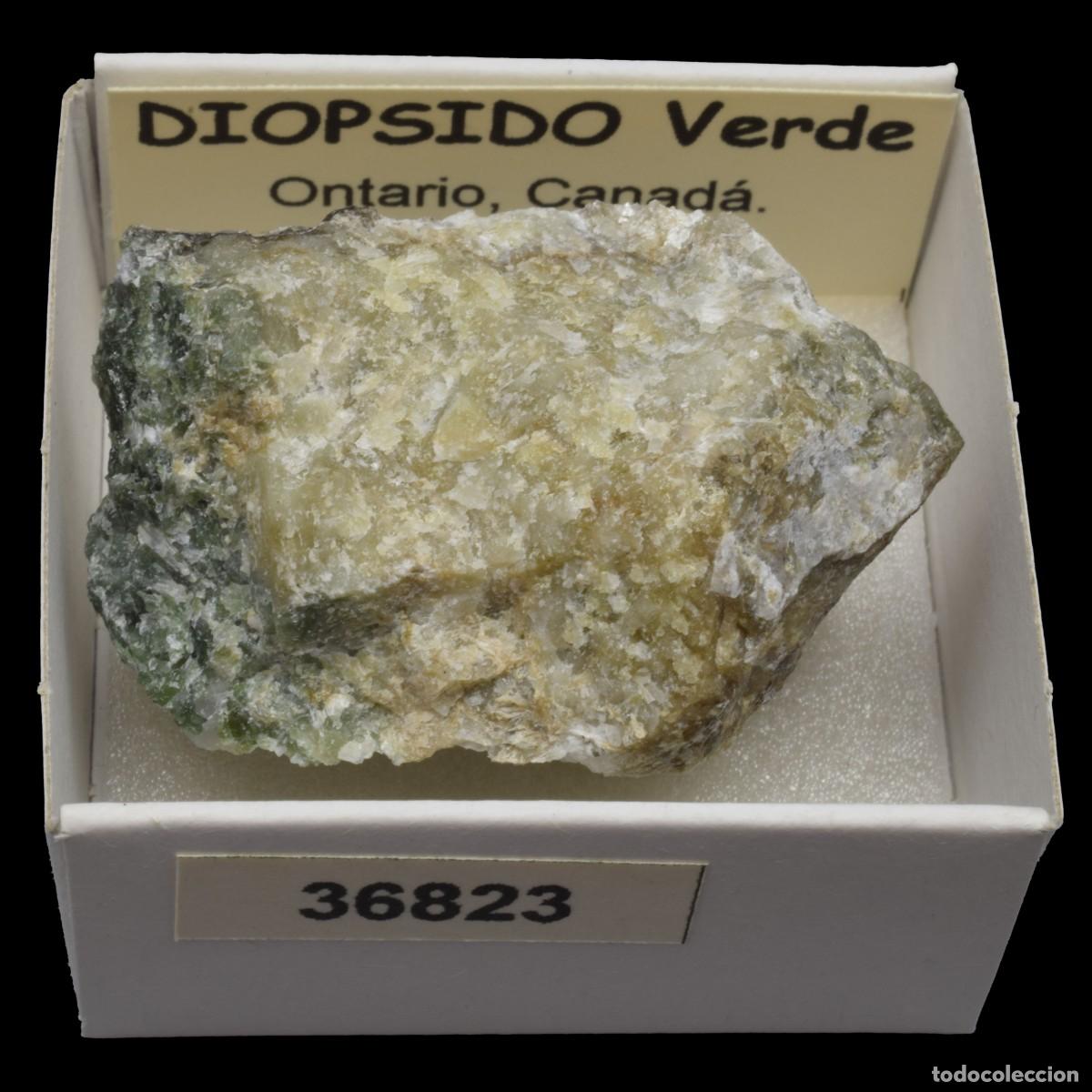 Coleccionismo de minerales: DIOPSIDO Verde (Ontario Canada) #36823