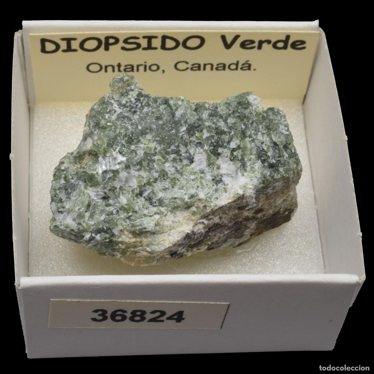 Coleccionismo de minerales: DIOPSIDO Verde (Ontario Canada) #36824