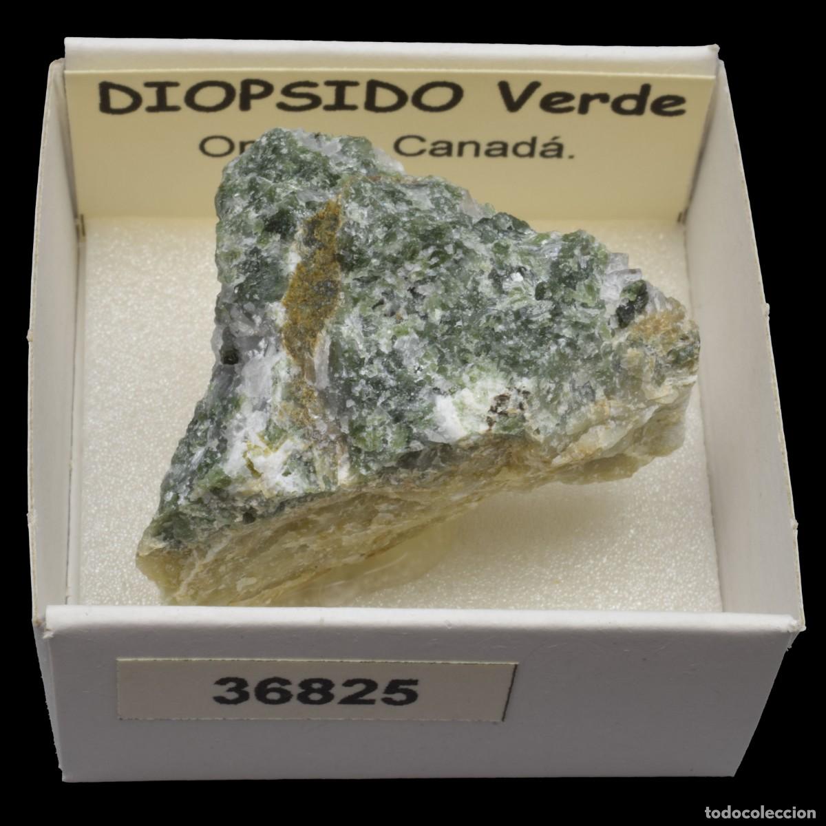 Coleccionismo de minerales: DIOPSIDO Verde (Ontario Canada) #36825