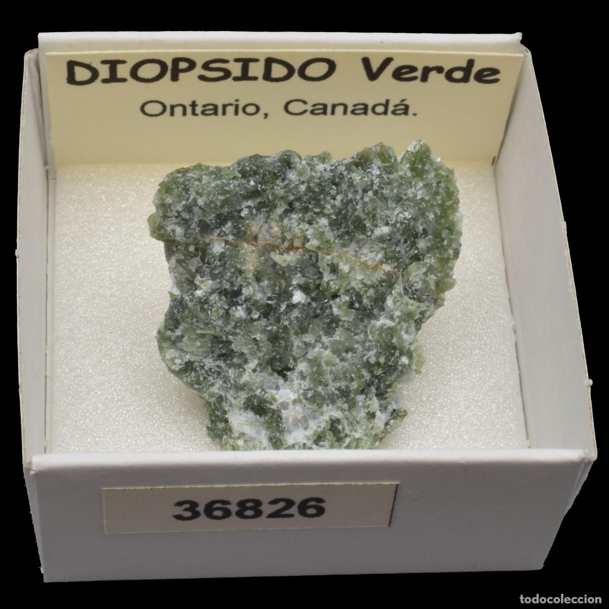 Coleccionismo de minerales: DIOPSIDO Verde (Ontario Canada) #36826