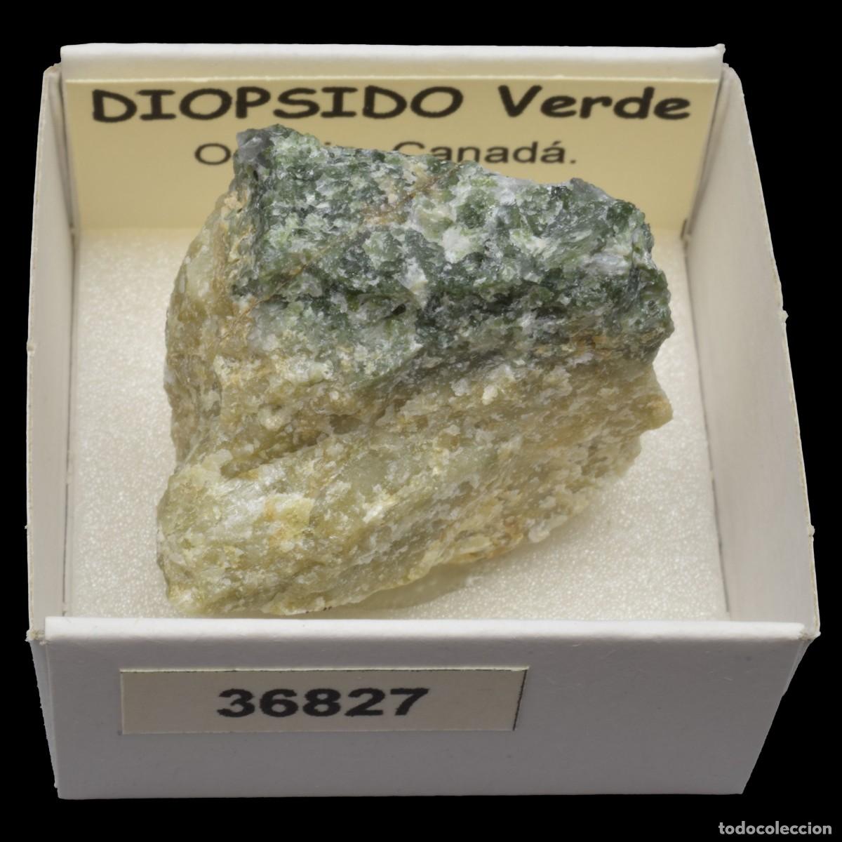 Coleccionismo de minerales: DIOPSIDO Verde (Ontario Canada) #36827
