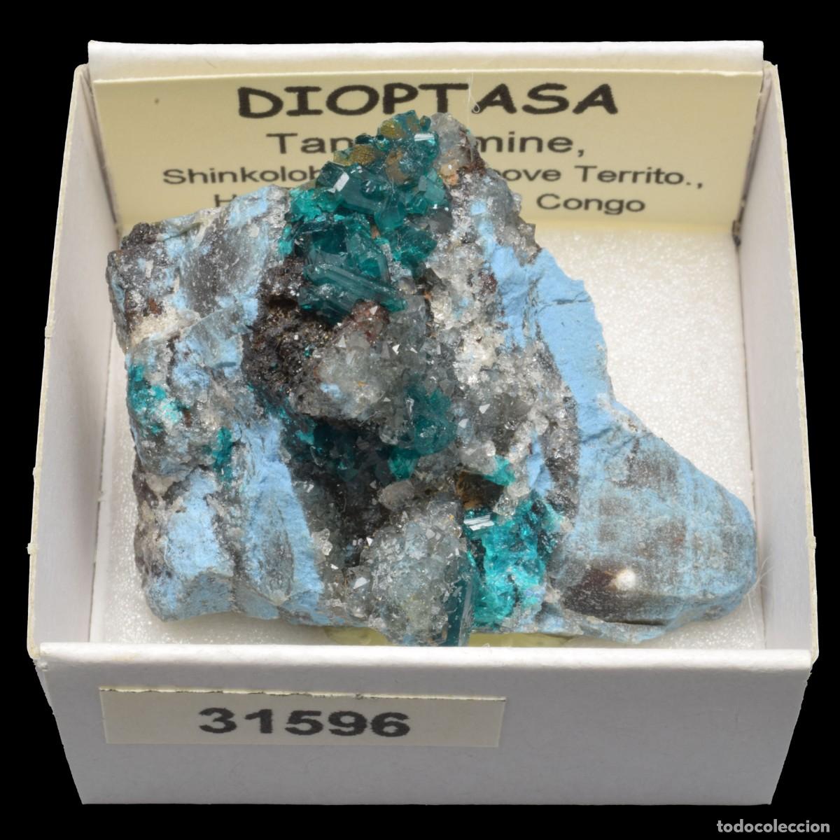 Coleccionismo de minerales: DIOPTASA xx (Tantara mine, Shinkolobwe, Kambove Terr., Haut-Katanga, R.D. Congo) #31596
