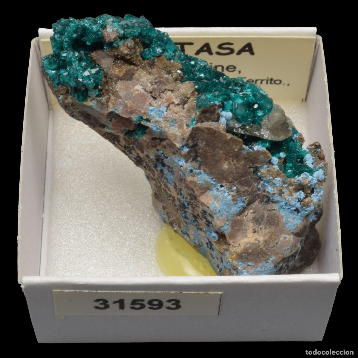 Coleccionismo de minerales: DIOPTASA xx (Tantara mine, Shinkolobwe, Kambove Terr., Haut-Katanga, R.D. Congo) #31593
