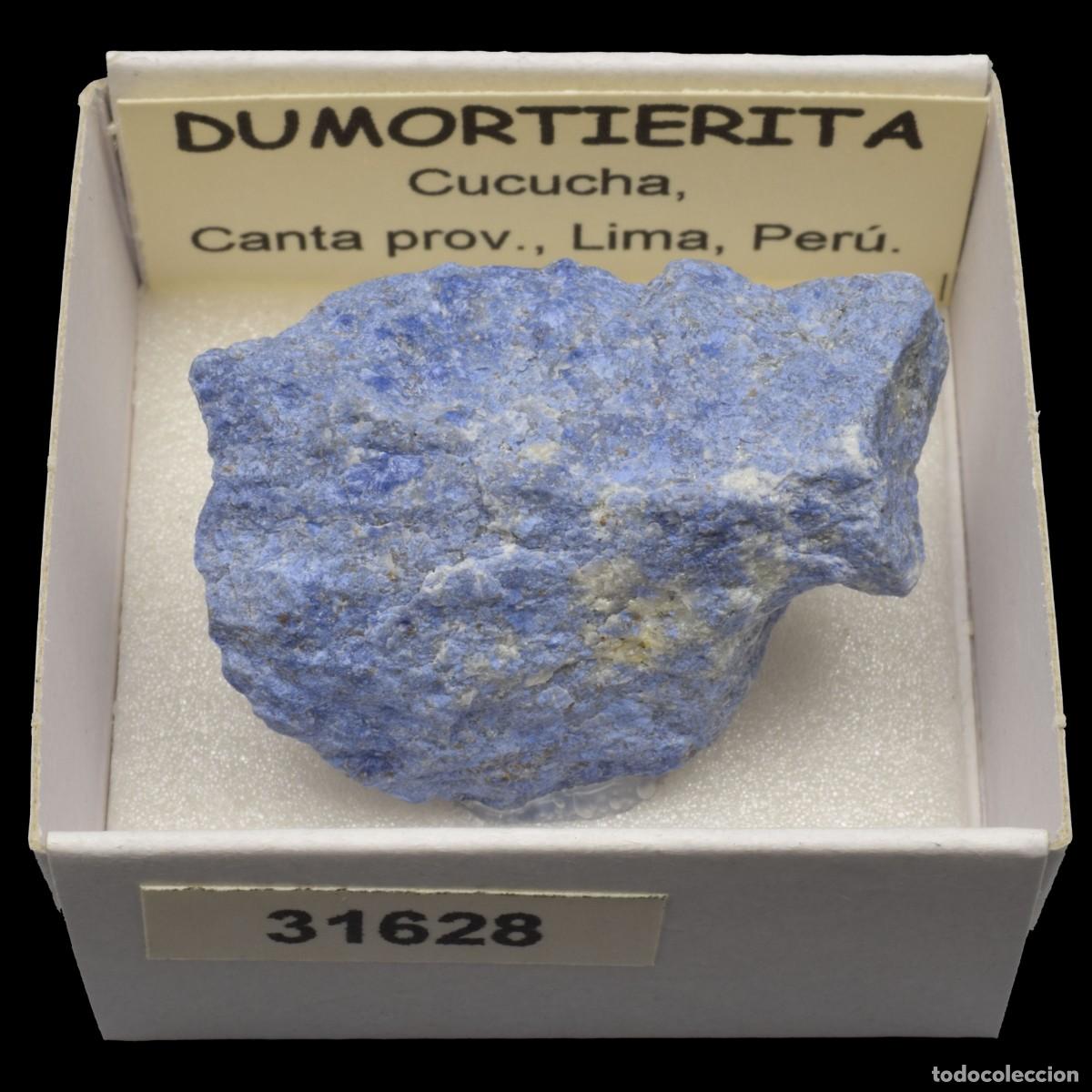Coleccionismo de minerales: DUMORTIERITA (Cucucha, Canta prov., Lima, Peru) #31628