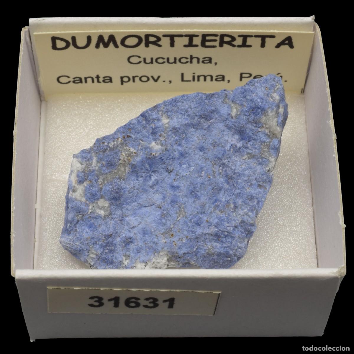 Coleccionismo de minerales: DUMORTIERITA (Cucucha, Canta prov., Lima, Peru) #31631