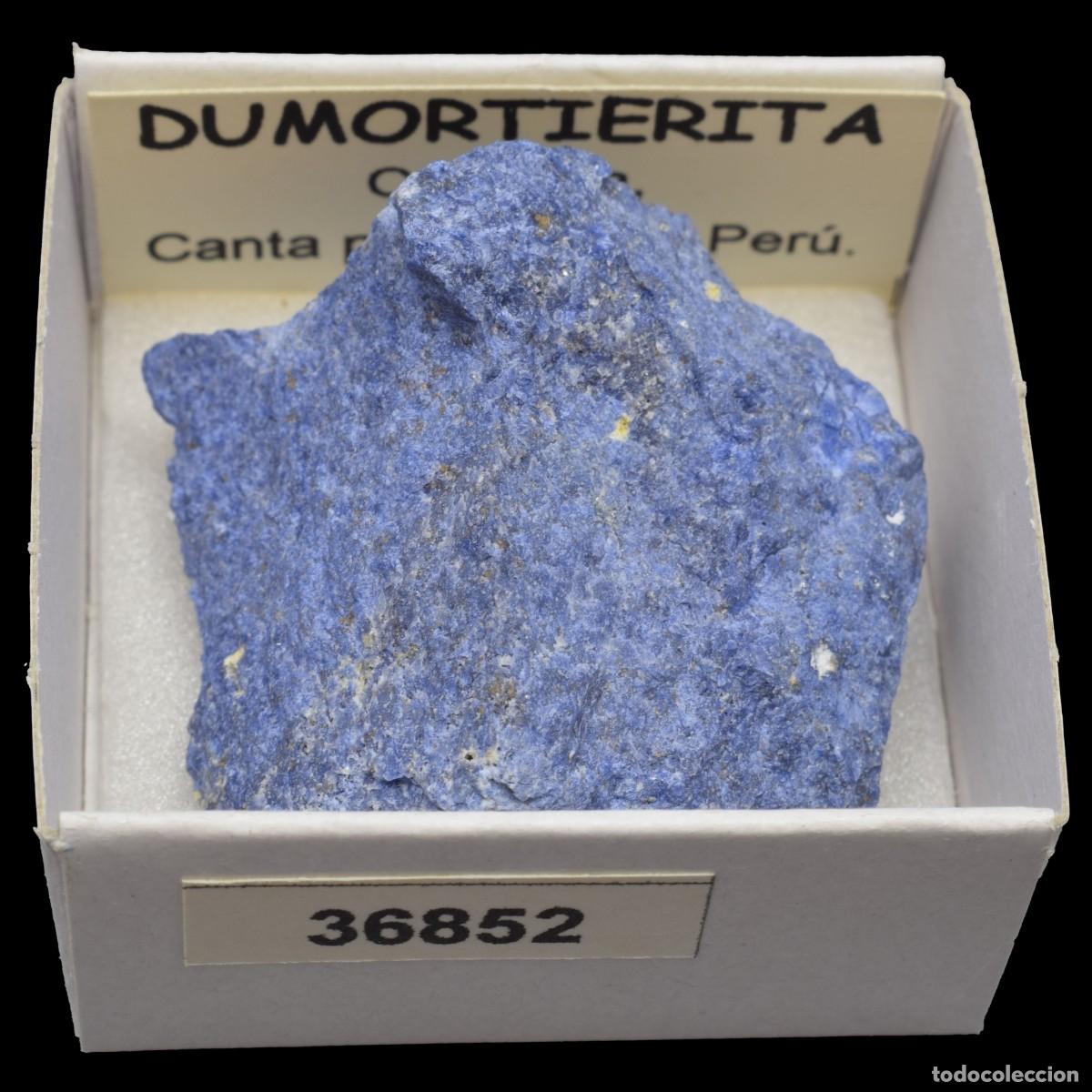 Coleccionismo de minerales: DUMORTIERITA (Cucucha, Canta prov., Lima, Peru) #36852