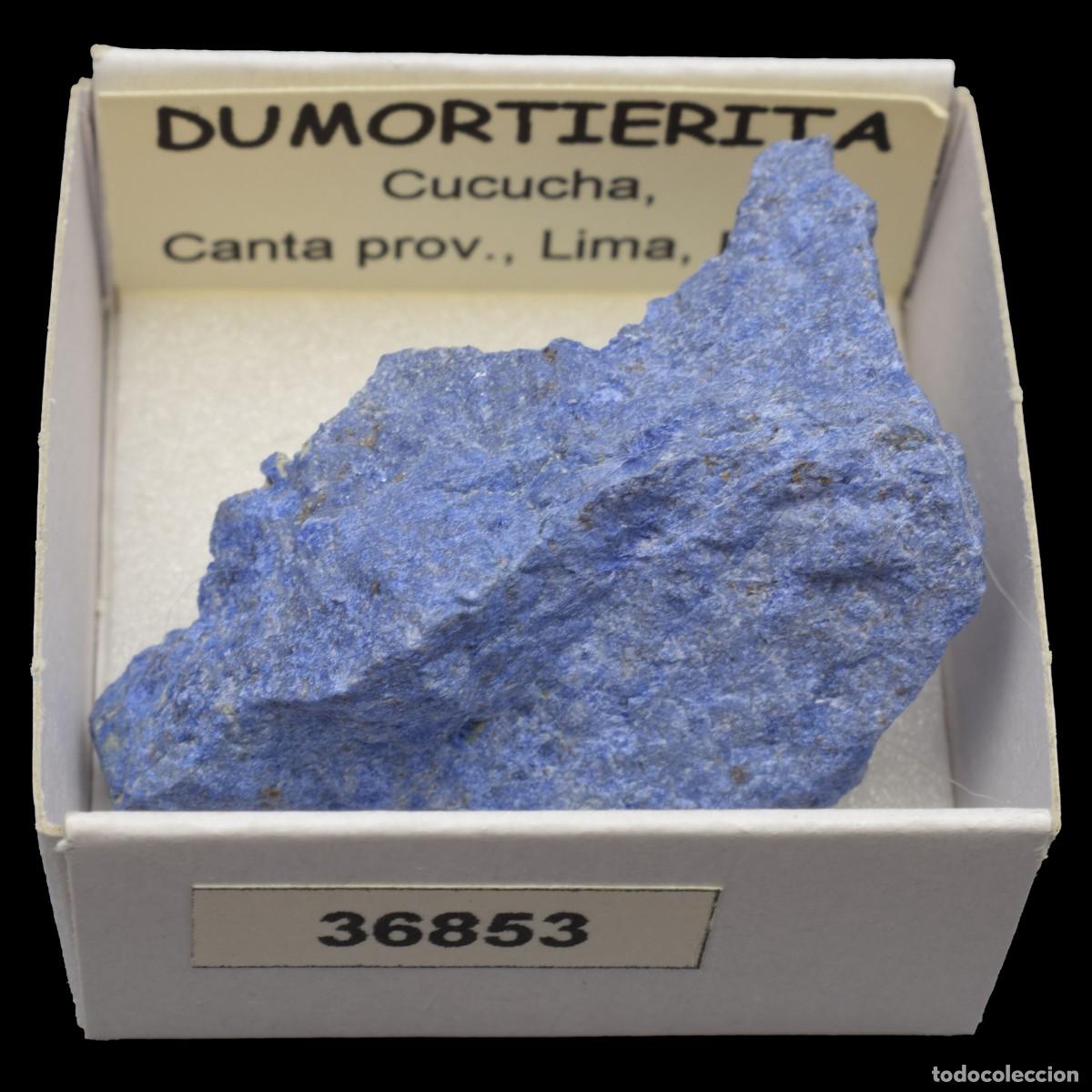 Coleccionismo de minerales: DUMORTIERITA (Cucucha, Canta prov., Lima, Peru) #36853