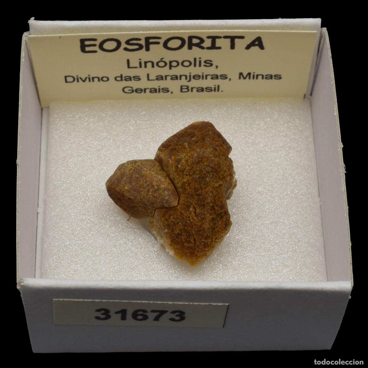 Coleccionismo de minerales: EOSFORITA (Linopolis, Divino das Lanjeiras, Minas Gerais, Brasil) #31673