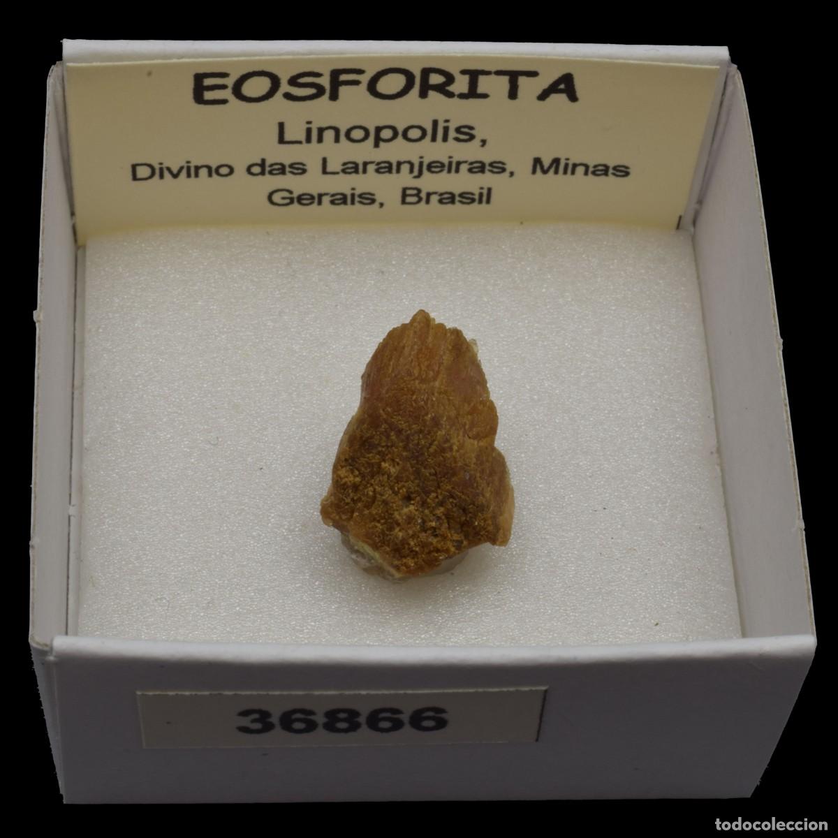 Mineral collecting: EOSFORITA (Linopolis, Divino das Lanjeiras, Minas Gerais, Brasil) #36866