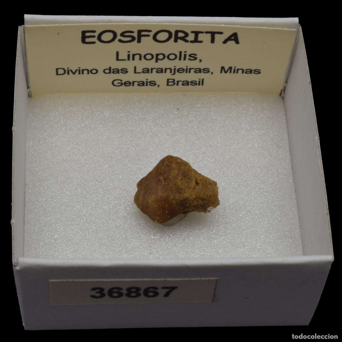Mineral collecting: EOSFORITA (Linopolis, Divino das Lanjeiras, Minas Gerais, Brasil) #36867