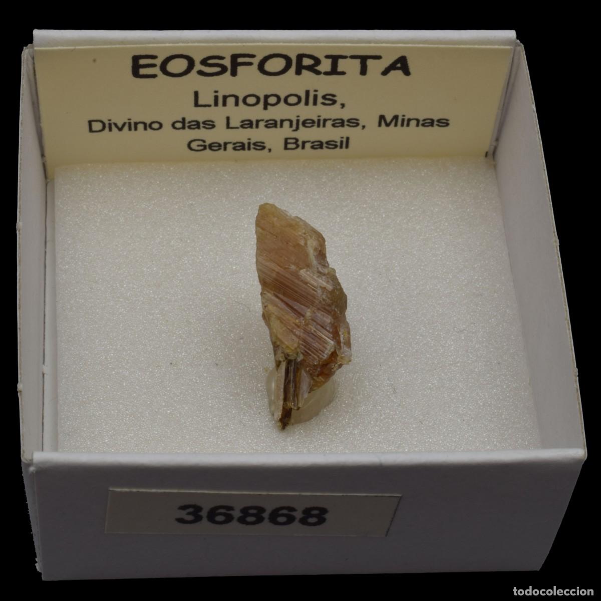 Mineral collecting: EOSFORITA (Linopolis, Divino das Lanjeiras, Minas Gerais, Brasil) #36868