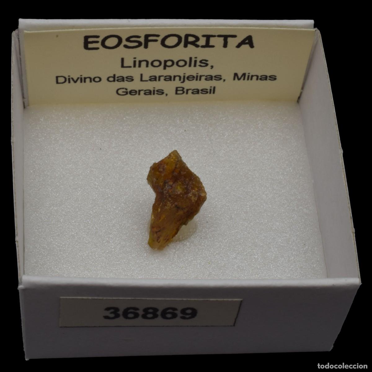 Mineral collecting: EOSFORITA (Linopolis, Divino das Lanjeiras, Minas Gerais, Brasil) #36869
