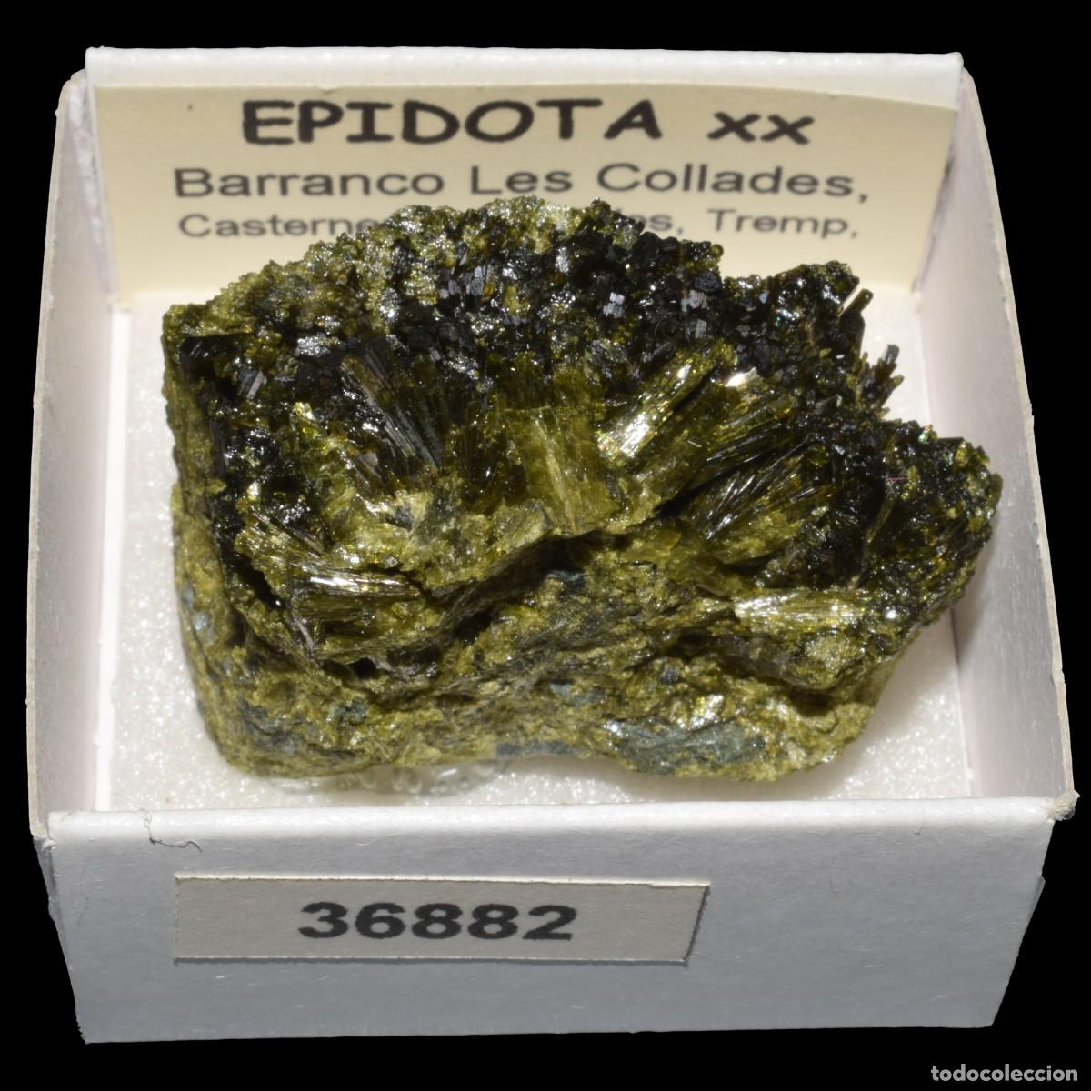 Colecionismo de minerais: EPIDOTA xx (Barranco las Collades, Casterner de les Olles, Tremp, Lleida, Espa&ntilde;a) #31682