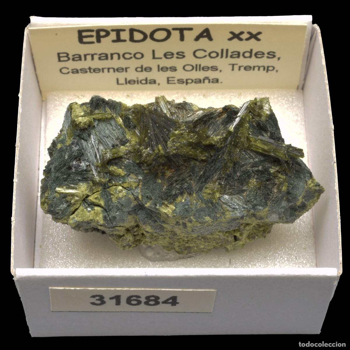 Coleccionismo de minerales: EPIDOTA xx (Barranco las Collades, Casterner de les Olles, Tremp, Lleida, Espa&ntilde;a) #31684