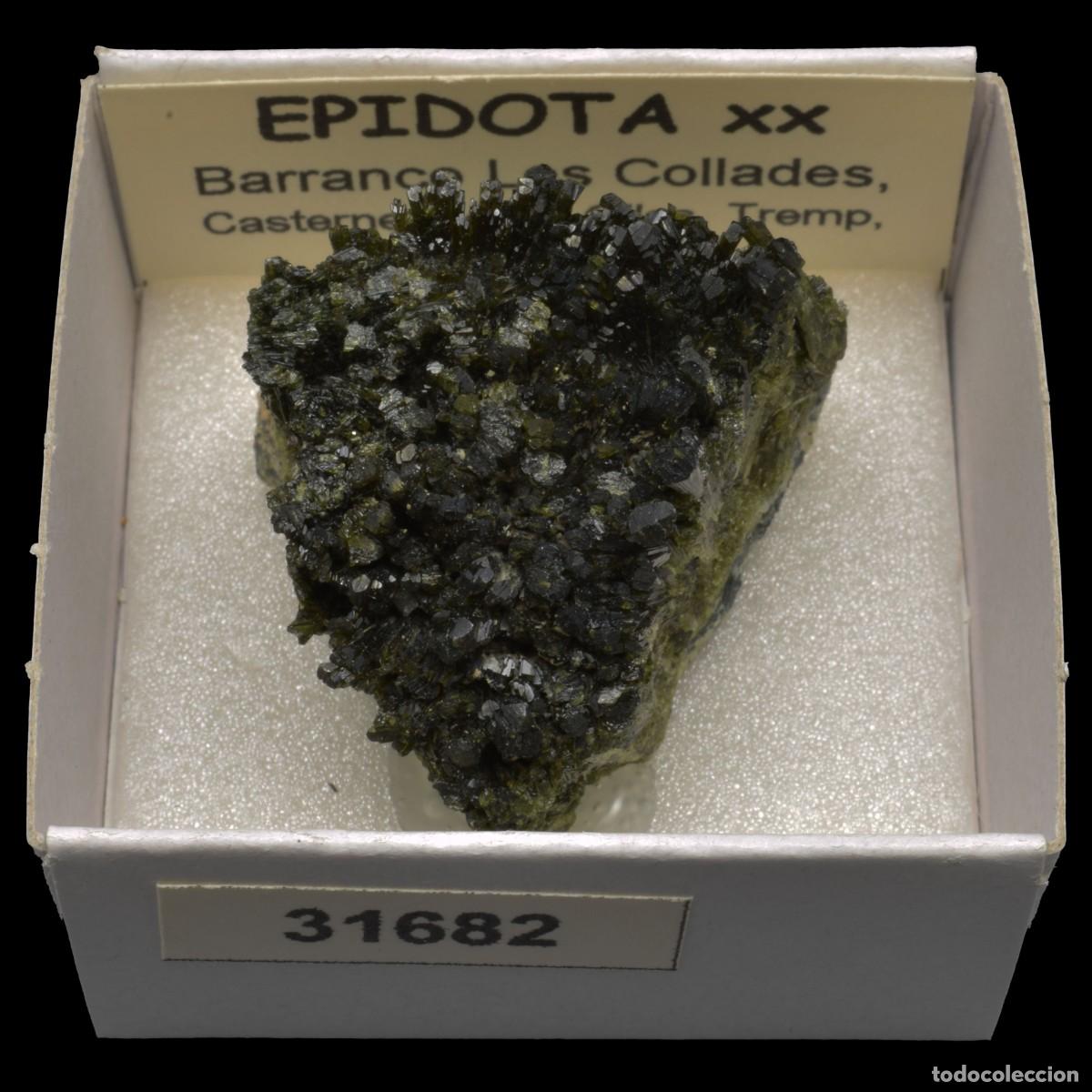 Coleccionismo de minerales: EPIDOTA xx (Barranco las Collades, Casterner de les Olles, Tremp, Lleida, Espa&ntilde;a) #31682