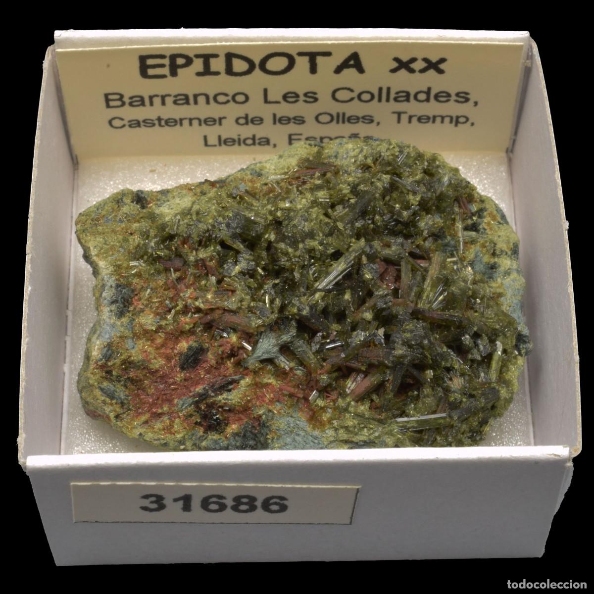 Coleccionismo de minerales: EPIDOTA xx (Barranco las Collades, Casterner de les Olles, Tremp, Lleida, Espa&ntilde;a) #31686