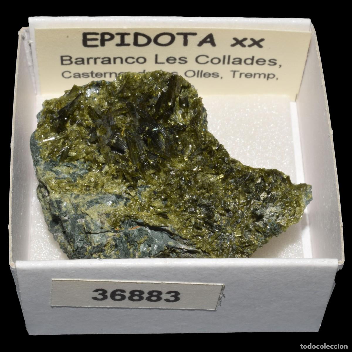 Coleccionismo de minerales: EPIDOTA xx (Barranco las Collades, Casterner de les Olles, Tremp, Lleida, Espa&ntilde;a) #36883