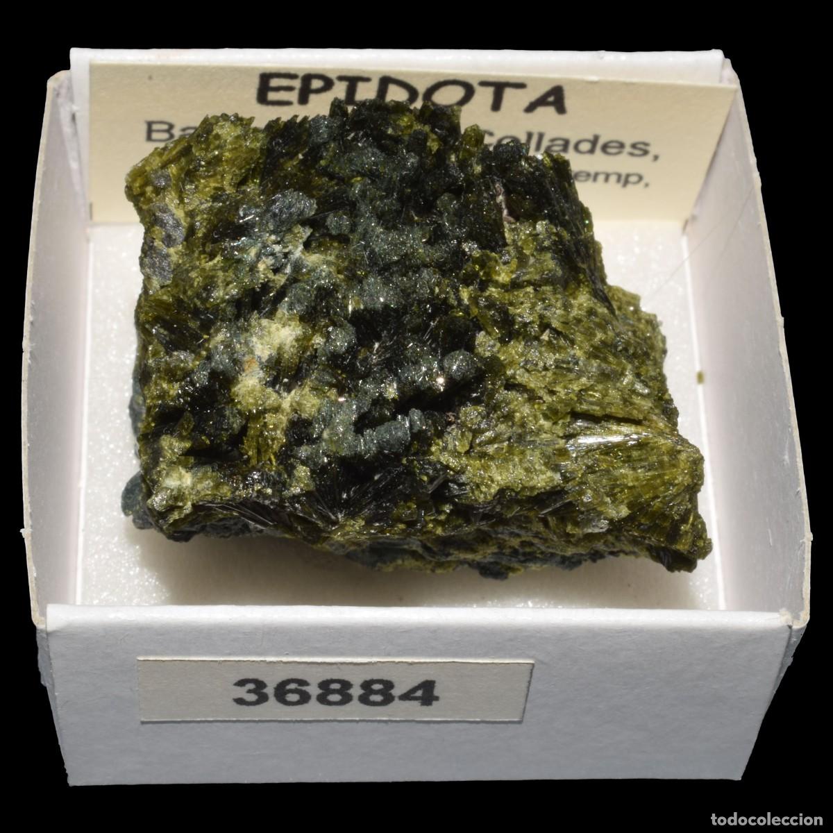 Coleccionismo de minerales: EPIDOTA xx (Barranco las Collades, Casterner de les Olles, Tremp, Lleida, Espa&ntilde;a) #36884