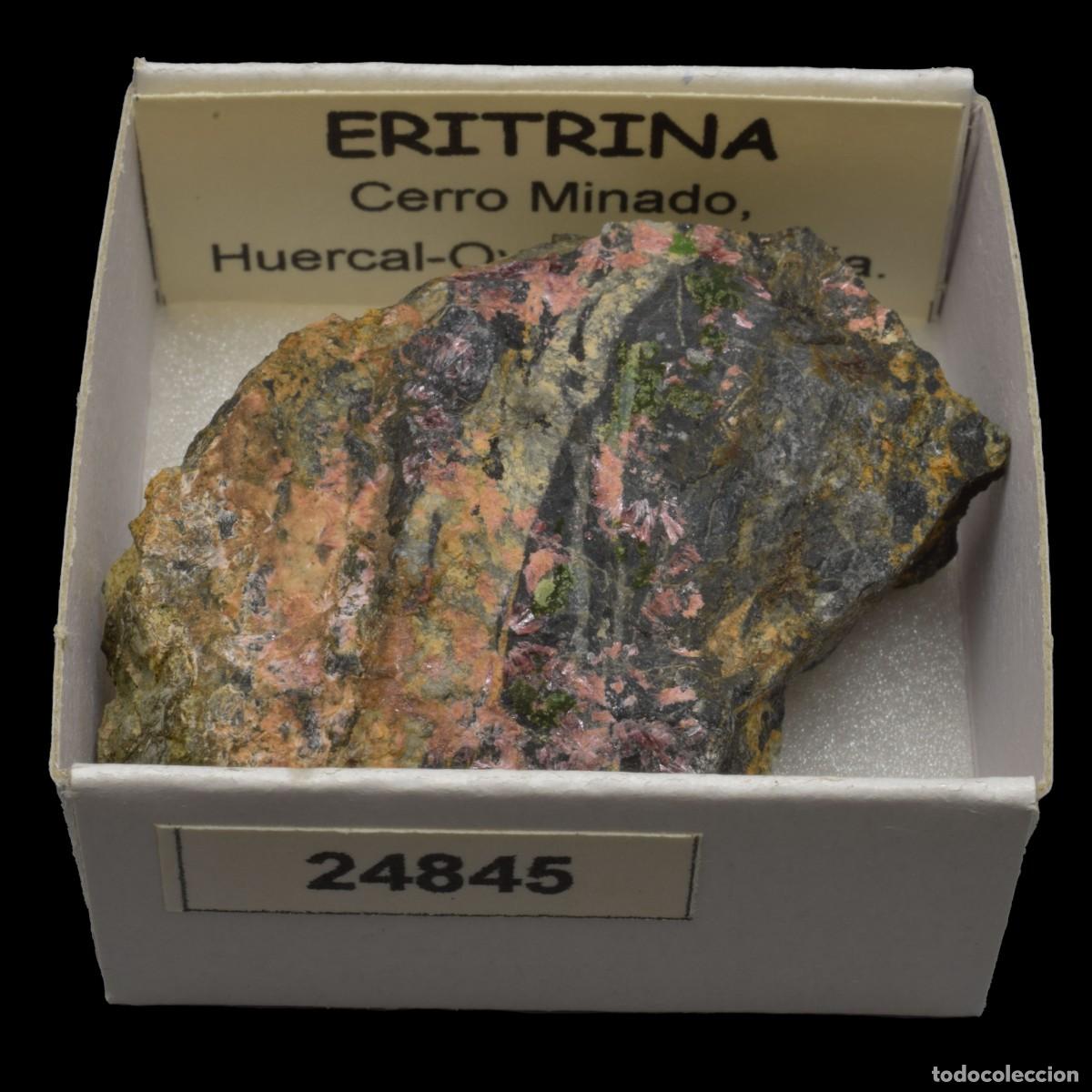 Coleccionismo de minerales: ERITRINA (Cerro Minado, Huercal-Overa, Almeria, Espa&ntilde;a) #24845