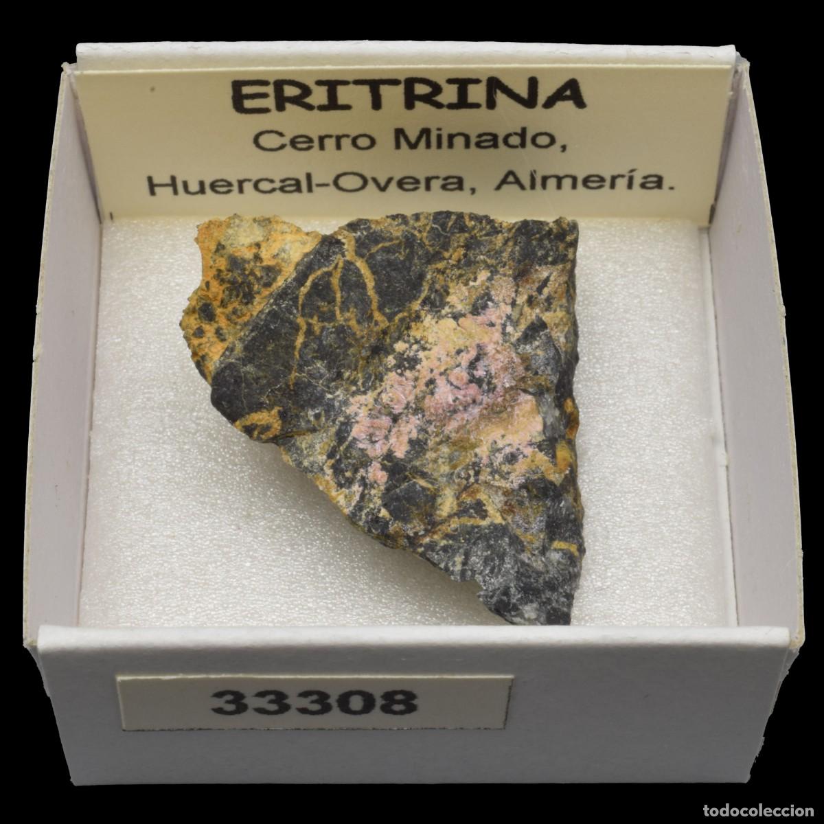 Coleccionismo de minerales: ERITRINA (Cerro Minado, Huercal-Overa, Almeria, Espa&ntilde;a) #33308