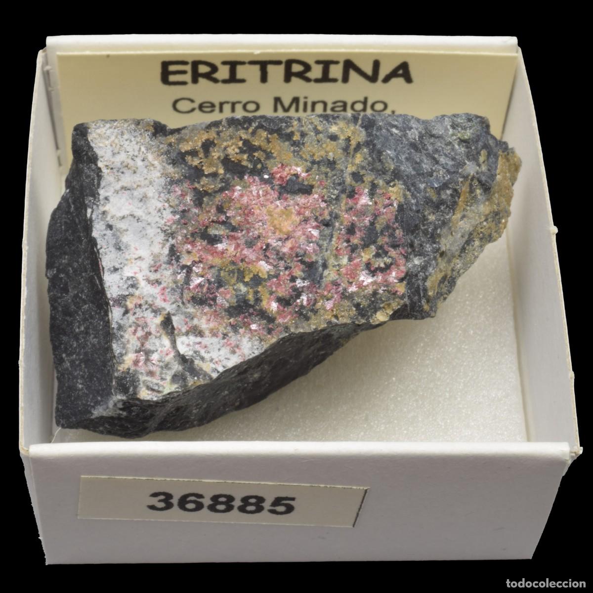 Coleccionismo de minerales: ERITRINA (Cerro Minado, Huercal-Overa, Almeria, Espa&ntilde;a) #36885