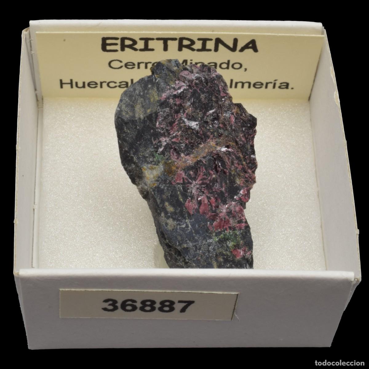 Coleccionismo de minerales: ERITRINA (Cerro Minado, Huercal-Overa, Almeria, Espa&ntilde;a) #36887